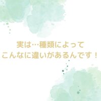 画像276