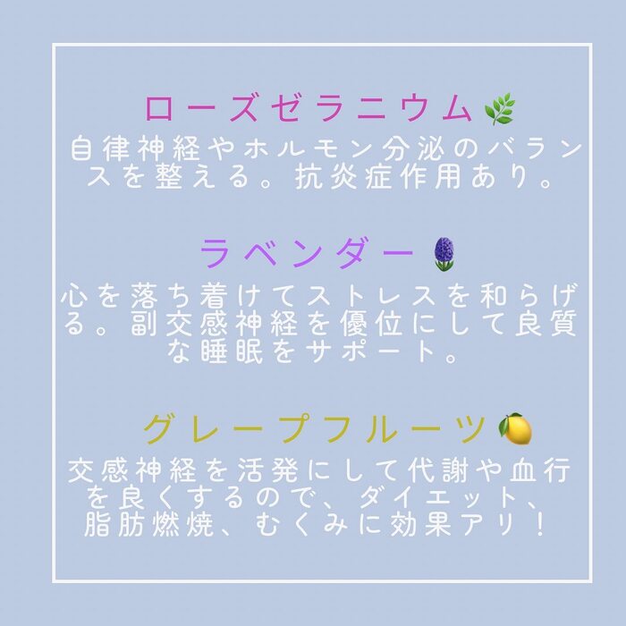 画像277