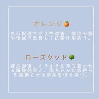 画像278