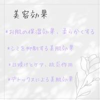 画像335