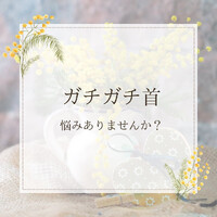 画像343