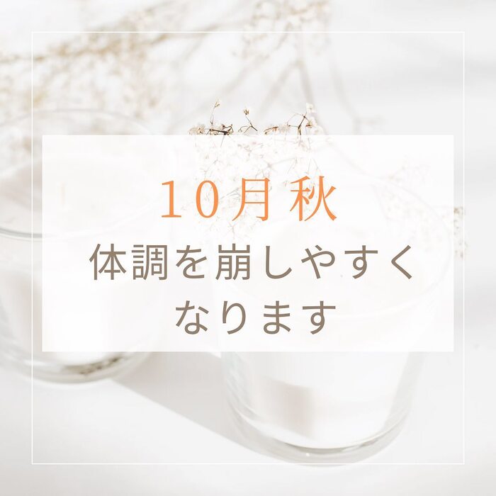 画像355