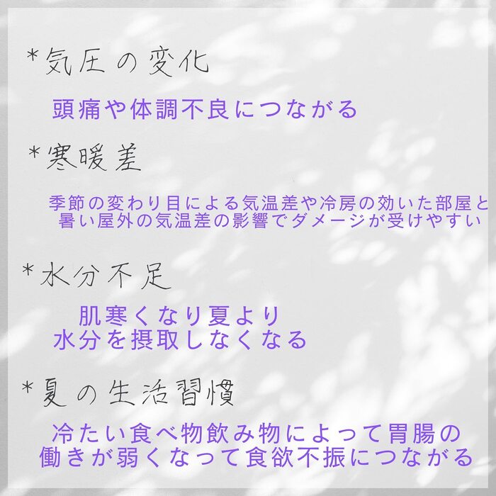 画像356