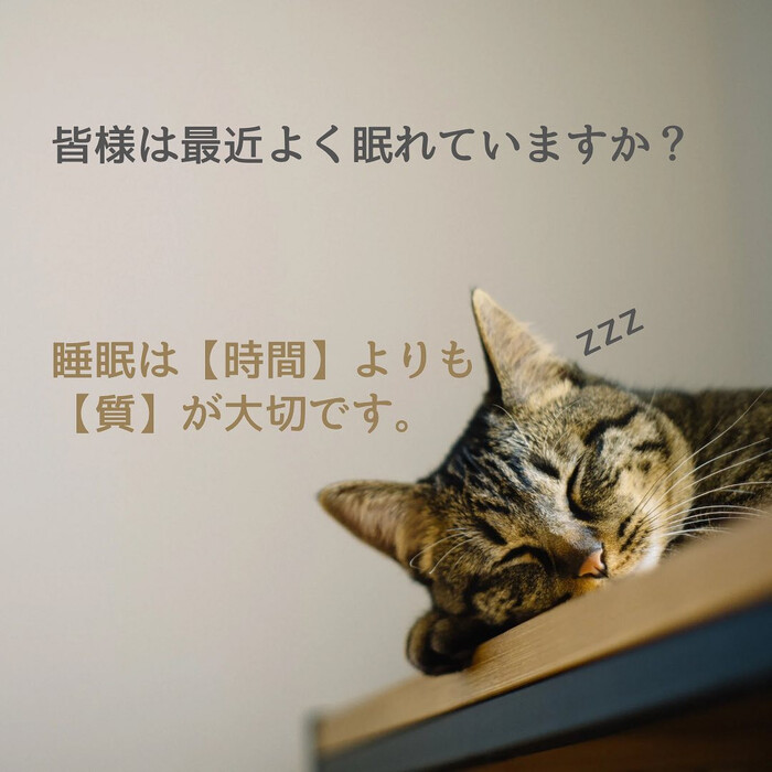 画像362