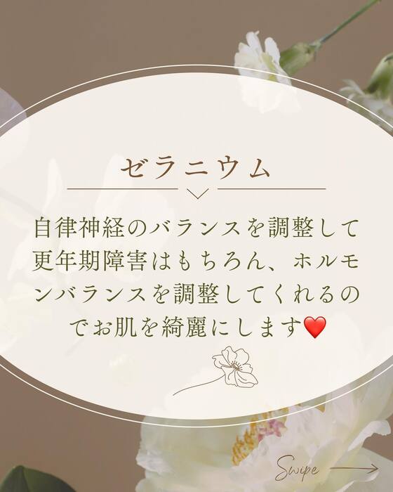 画像367