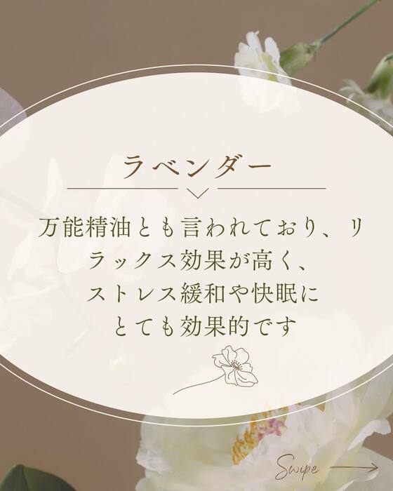 画像369