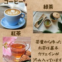 画像380