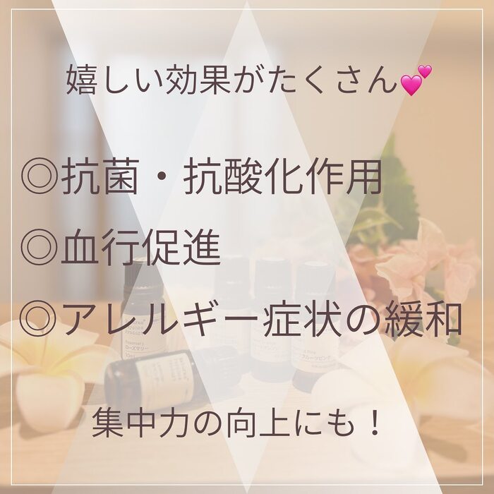 画像442