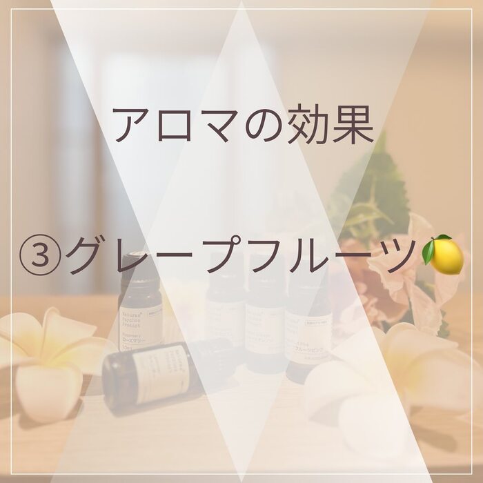 画像462