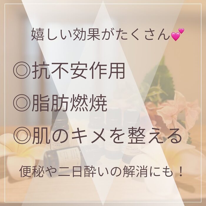 画像463