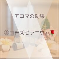 画像496
