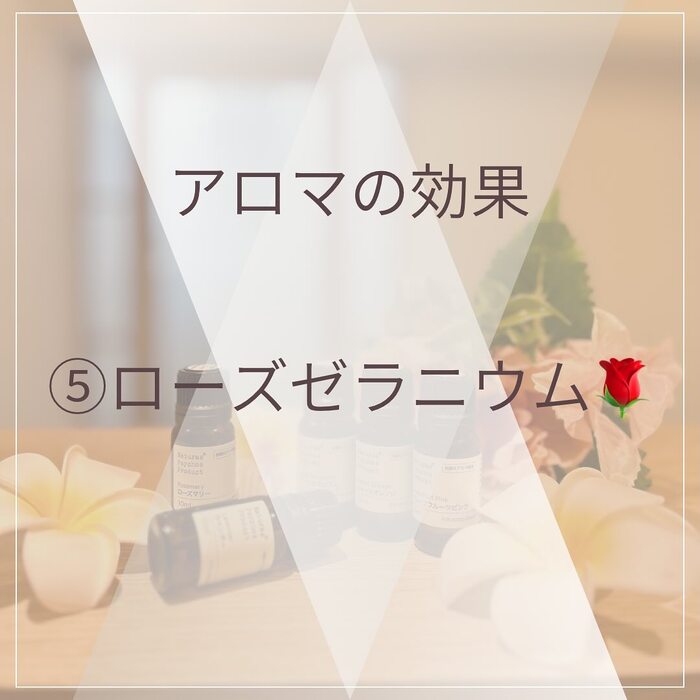 画像496