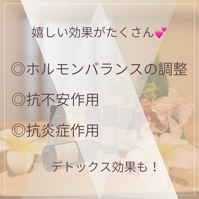 画像497