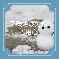 画像529