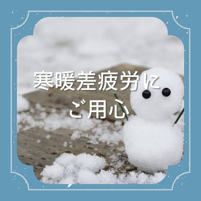 画像529