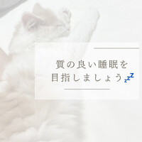 画像531