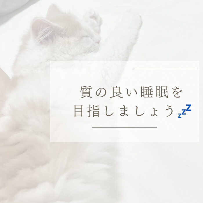 画像531