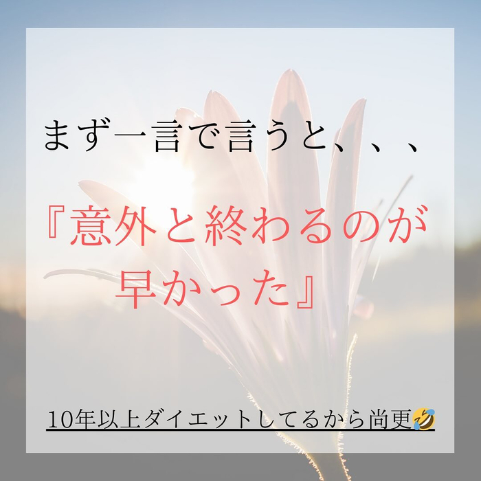 画像546