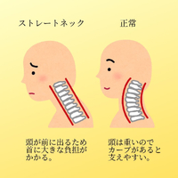 画像657