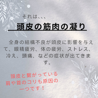 画像737